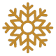 snow flake icon