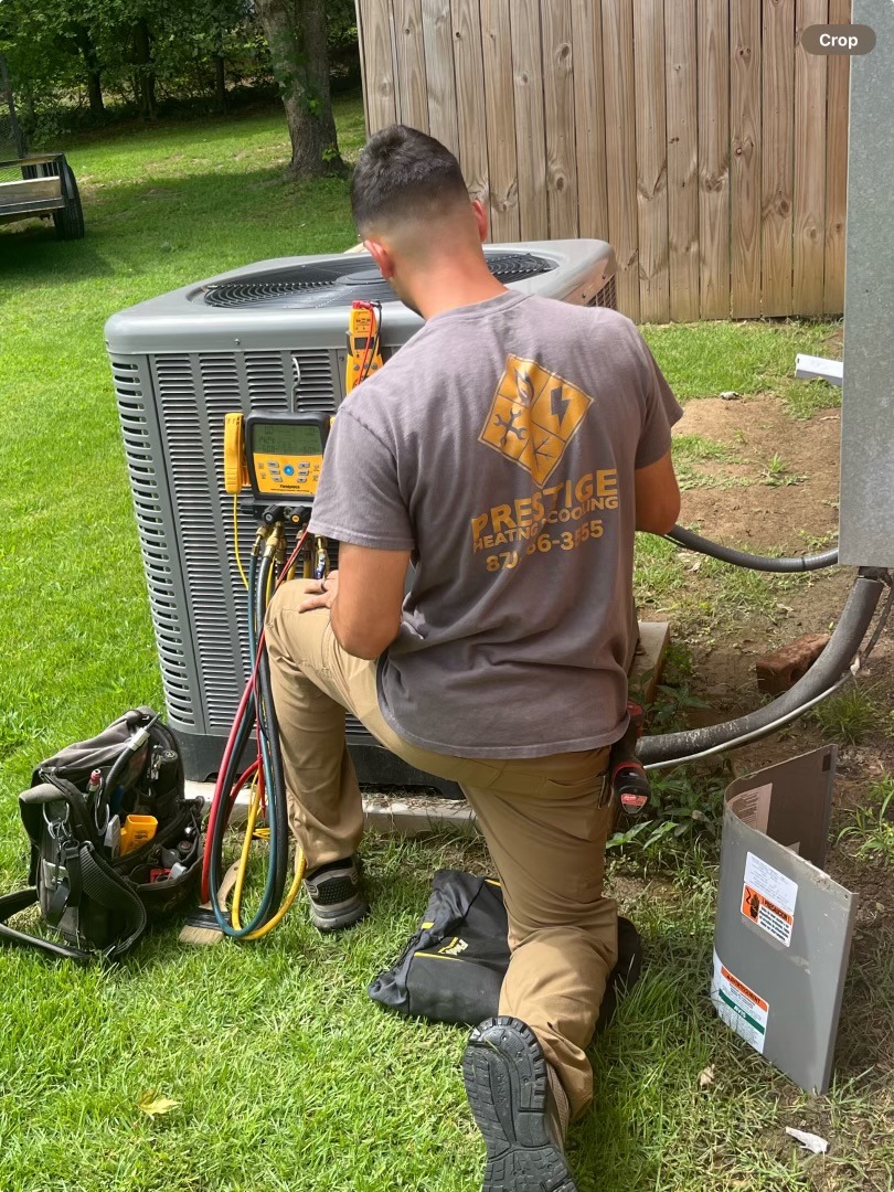 View recent photos 1